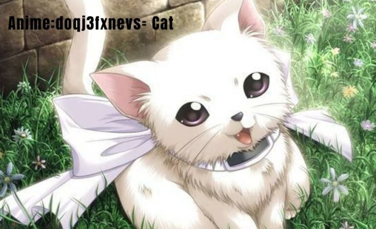 Anime:doqj3fxnevs= Cat