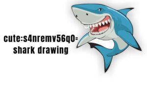 cute:s4nremv56q0= shark drawing