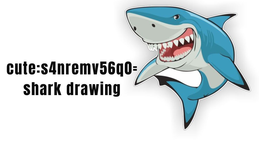 cute:s4nremv56q0= shark drawing